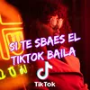 About Si Te Sbaes El TikTok Baila Song