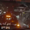 About מיום ליום Song