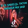 About Si Te Sabes El TikTok Twerkea Mix 2021 Song