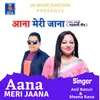 About Aana Meri Jaana Song