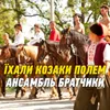 About Їхали козаки полем Song