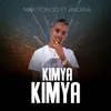 About Kimya Kimya Song