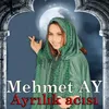 Ayrılık Acısı