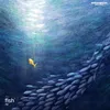 About Fish Song