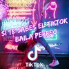 About Si Te Sabes El TikTok Baila Perreo Song