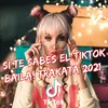 About Si Te Sabes El Tiktok Baila! Trakata 2021 Song