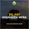 About Dil Hay Ghamgeen Mera Song