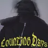 About Counting Days Song