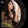 About Semata Wayang Song