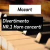 Concerto For Horn And Orchestra n4 e flat major kv 495 Allegro Moderato