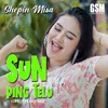 About Sun Ping Telu Song