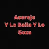 About Asereje - Y Lo Baila Y Lo Goza Song