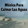 About Energía positiva Song