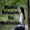 About Flauta Meditaciones Song