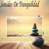 Ambiente y Sonidos