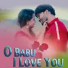 About O Babu I Love You Song