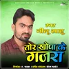 About Tor Khopa Ke Gajra Song