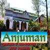 About Anjuman Song