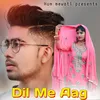 About Dil Me Aag Song