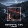 About What Do You Know Song