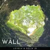 About Wall Song