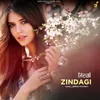 About Zindagi Song