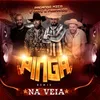 About Pinga na Veia Remix Song