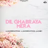 About Dil Ghabraya Mera Song