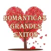 About Románticas Grandes Exitos Song