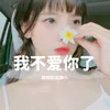 About 我不爱你了 Song