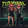 About TERMINAL Song