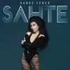 About Sahte Song