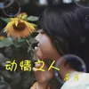 About 动情之人 Song