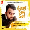 Jaan Ban Gai
