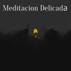 Meditacion Delicada