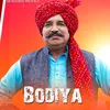 Bodiya