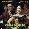 Cinta Di Mato