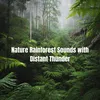 About Nature Rainforest Sounds with Distant Thunder Song