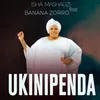 About Ukinipenda Song