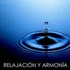 About Relajación y Armonía Song