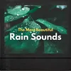 About Morning Rain Song