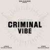 About Criminal Vibe Song