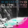 About Swimming in the Wind Song