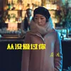 About 从没爱过你 Song