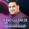 About Jwand Gulzar De Song