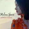 About Tanrıdan Diledim Song