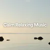 Relax & Meditate