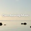 Soft Calming Music