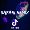 Safari (Remix)