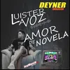 Amor de Novela Radio Edit